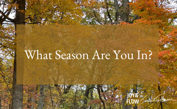 What Season are You In?